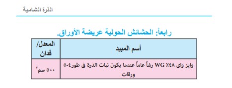 محصول الذرة الشامية