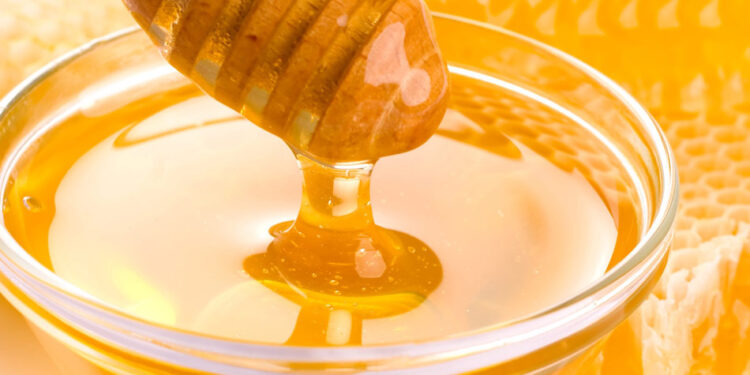 أسعار عسل النحل