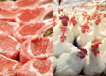 اسعار اللحوم والدواجن