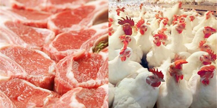 اسعار اللحوم والدواجن
