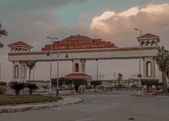 النوبارية الجديدة