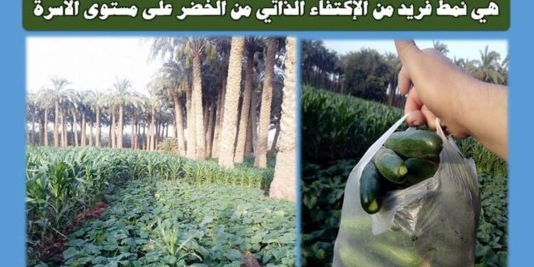 زراعة الكفاف .. الحل السحري لتحقيق الأمن الغذائي في القرى زراعة الكفاف