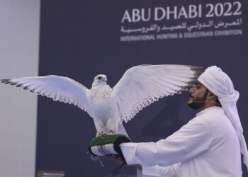 معرض أبوظبي الدولي للصيد والفروسية