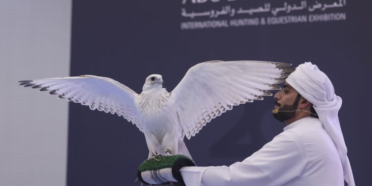 معرض أبوظبي الدولي للصيد والفروسية