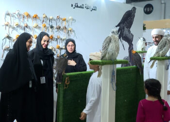 مشاركة كبيرة وحضورا قويا ومميزا للمرأة الإماراتية في معرض أبوظبي الدولي للصيد والفروسية