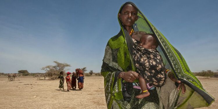 تقرير أممي: العالم يخذل النساء والفتيات إذا استمرت الاتجاهات الحالية، فإن أكثر من 340 مليون امرأة وفتاة سيعشن في فقر مدقع بحلول عام 2030