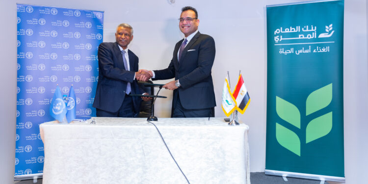 الفاو وبنك الطعام المصري يجددان برتوكول التعاون لدعم الزراعة الفاو وبنك الطعام المصري يجددان برتوكول التعاون لدعم الزراعة