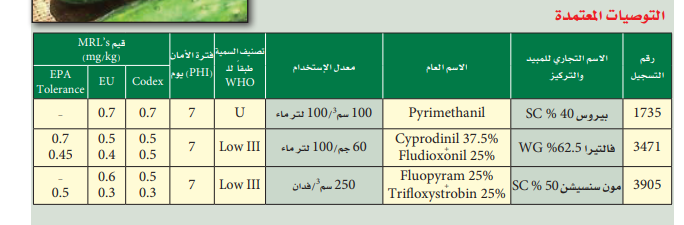 أعفان الثمار في الخيار