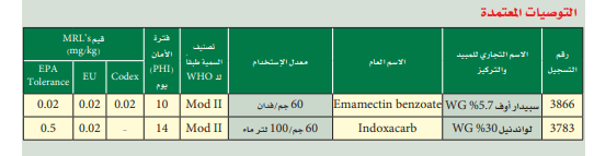 ديدان اللوز الشوكية في البامية 