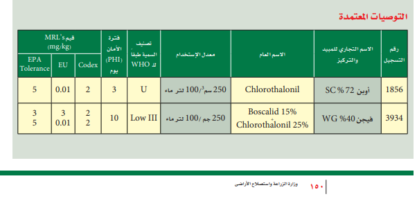 لفحة الساق الصمغية في الشمام