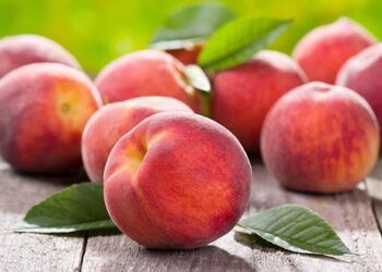 المن في الخوخ