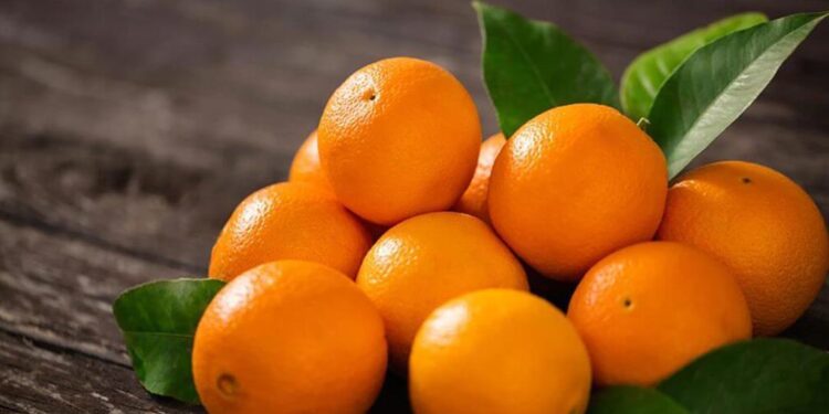 عفن السرة في البرتقال