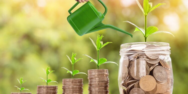 أسماء شركات التمويل متناهي الصغر في مصر أسماء شركات التمويل متناهي الصغر