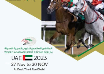 اليوم.. انطلاق الملتقى العالمي للخيول العربية الأصيلة في أبوظبي
