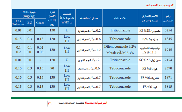 التفحم السائب في القمح