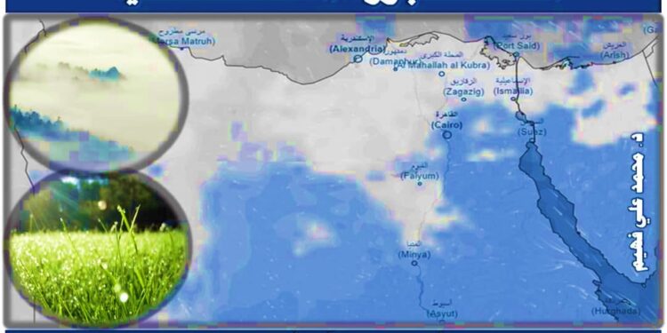 الشبورة المائية .. خبير يوضح أسباب الضباب الصباحي وأضراره الشبورة المائية