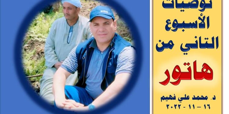 المحاصيل الشتوية .. خبير يقدم روشتة إرشادية عاجلة المحاصيل الشتوية