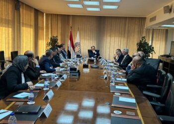 شركات الدولة