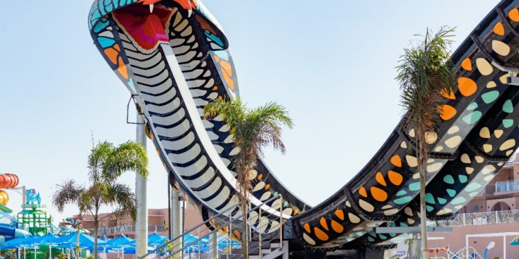 بتواجدها داخل نيفرلاند.. تعرف على الكينج كوبرا أفضل لعبة أوروبية لعبة كينج كوبرا في مدينة نيفرلاند