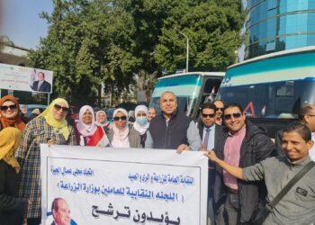 انتخابات الرئاسة المصرية