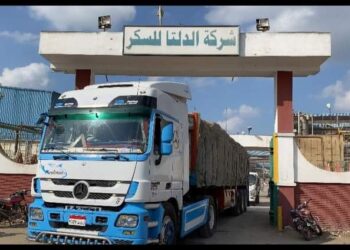 إجراء عاجل من التموين لحل أزمة أسعار السكر