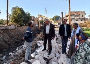 مركز البداري