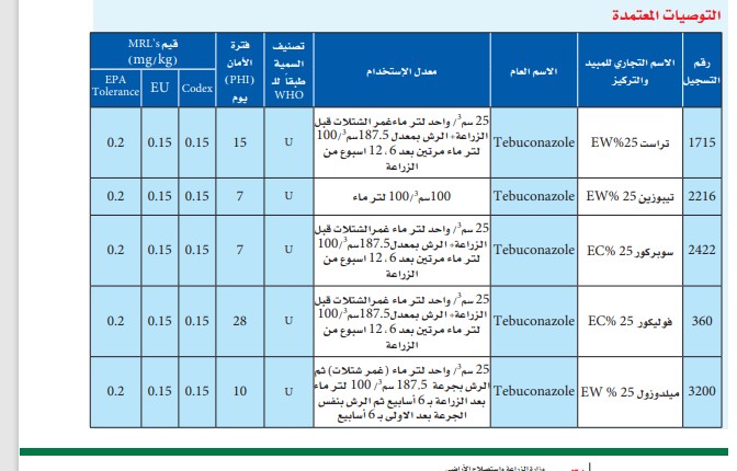 العفن الأبيض في البصل