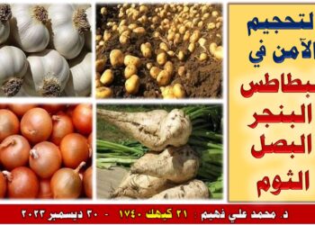 التحجيم الآمن