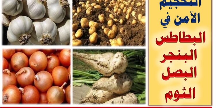 التحجيم الآمن