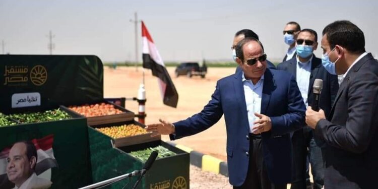 المشروعات الزراعية.. نهضة غير مسبوقة خلال 10 سنوات