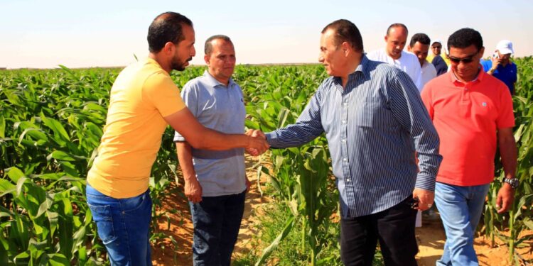 اللواء عمرو عبدالوهاب: كارت الفلاح يقدم دعماً حقيقياً لمنتفعي شركة الريف المصري كارت الفلاح