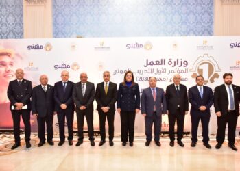 مشروع مهني 2030