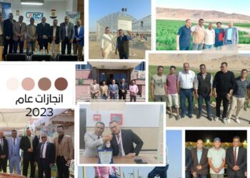 شركة إيجي باسف