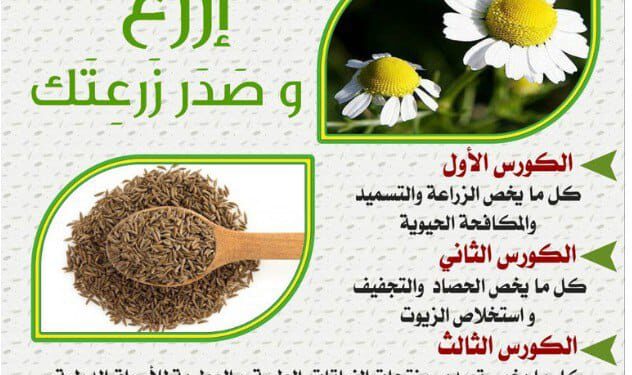 إيجي باسف تعلن عن تدريب جديد للطلاب في مجال زراعة وتصدير النباتات الطبية إيجي بوست