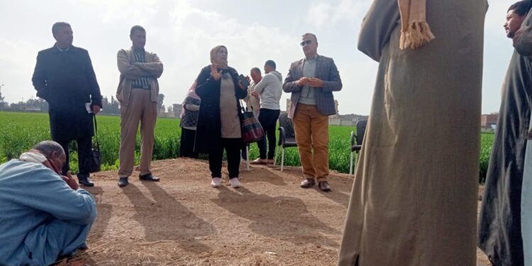 الفريق الإرشادي الريفي