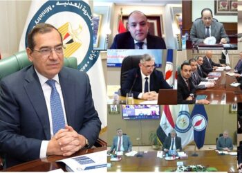 شركات القطاع العام