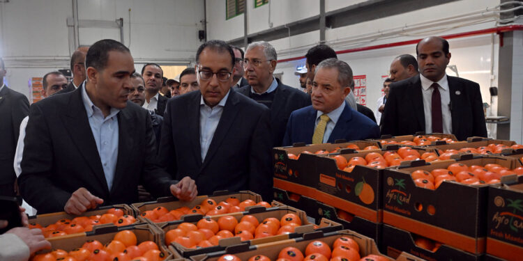 11 معلومة عن محطة شركة جامكو للموالح محطة شركة جامكو