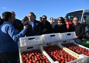 مزرعة شركة عنبر