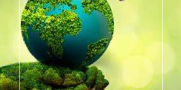 د. مجدي السماحي يكتب ..البيئة قرض الأحفاد للأجداد
