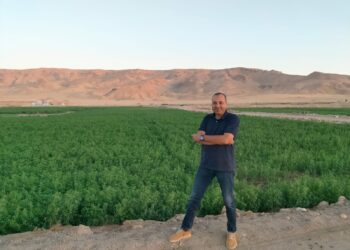 زراعة النباتات الطبية