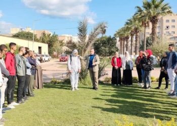 د. مجدي السماحي يكتب عن مبيدات الآفات الزراعية بين الاستخدام الآمن والفاعلية