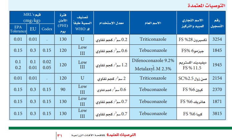 التفحم السائب في القمح