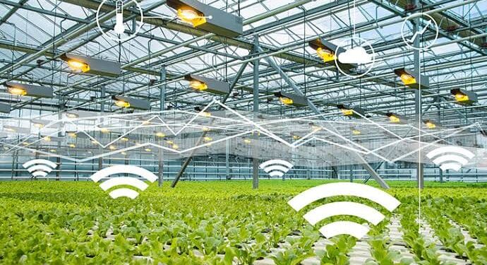 الزراعة الذكية تساهم في استصلاح 4 ملايين فدان الزراعة الذكية