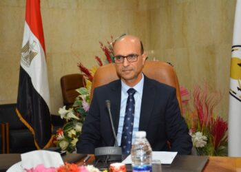 د. أحمد المنشاوي