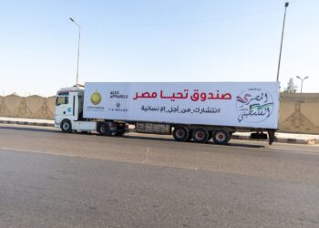 صندوق تحيا مصر