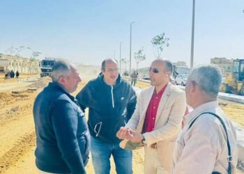 المهندس عبدالرءوف الغيطى