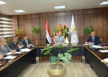 د. أحمد المنشاوي