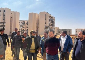 المهندسة أسماء مخلوف