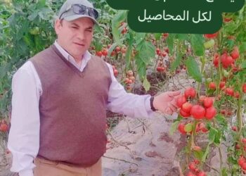 أسبوع المتناقضات