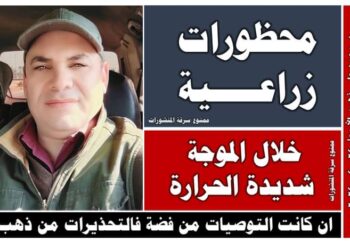 محظورات زراعية.. د. فهيم يصدر 12 تحذير لتجنبها خلال موجة شديدة الحرارة